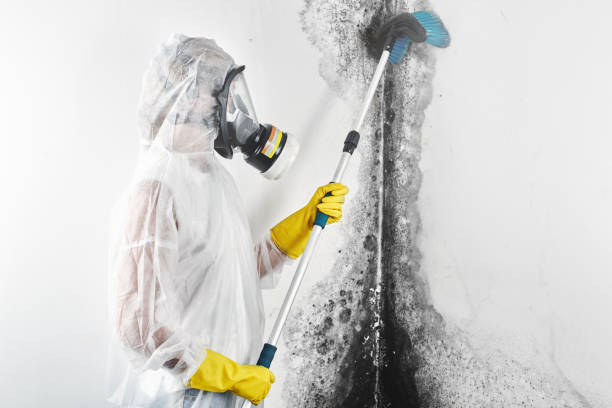 Best Indoor Air Quality Assessment  in Spencer, WV