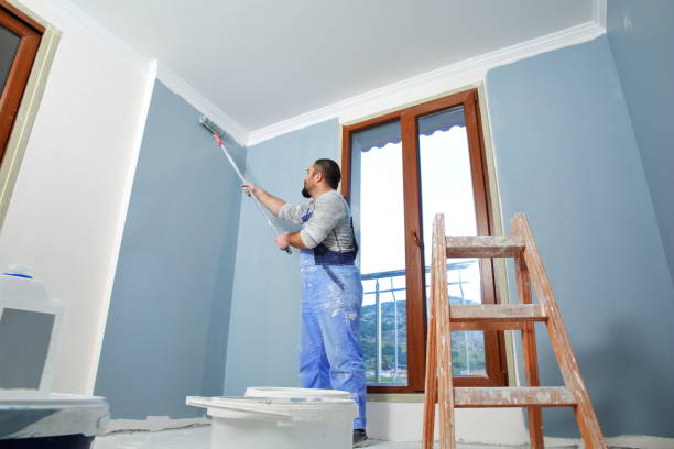 Best Emergency Mold Remediation  in Spencer, WV