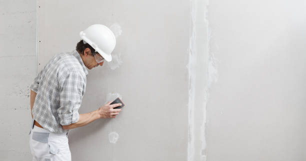 Professional Mold Removal in Spencer, WV