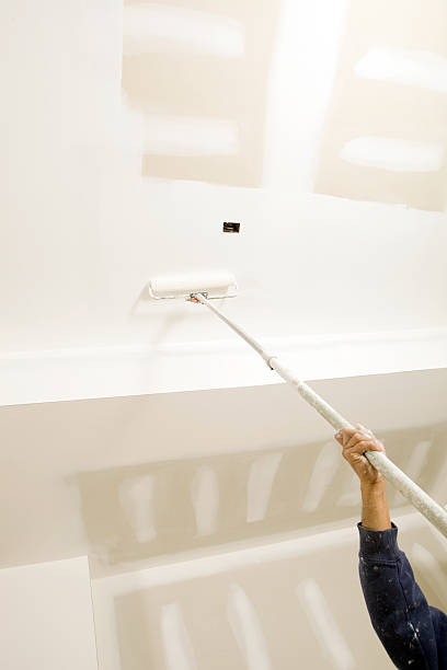Best Environmental Consulting for Mold Prevention  in Spencer, WV